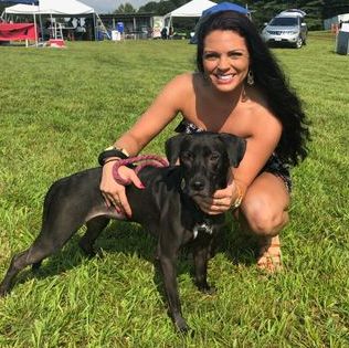 Attentive and Responsible House/Pet Sitter in Charlotte