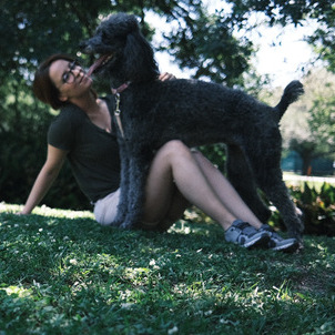 Friendly House Sitting Service Provider in Willow