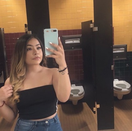 San Jose House Sitter Looking For Being Hired