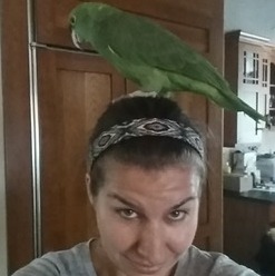 More Animal Than Human: 12+years of pet/house-sitting on the Mainline outside of Philadelphia as a business owner