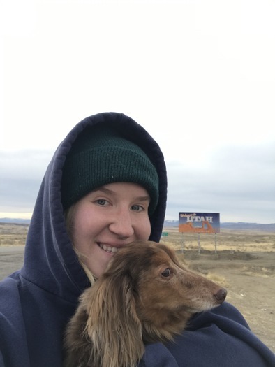 Most Consistent House Sitting Professional in Fort Collins!