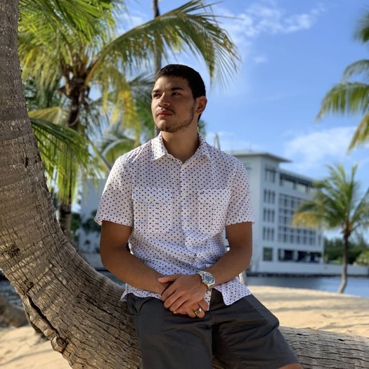 Hello, I'm David vann looking for work