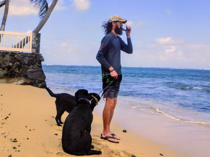 Available For North & South Kohala House, caretaker and Petsitter, Hawaii Jobs.