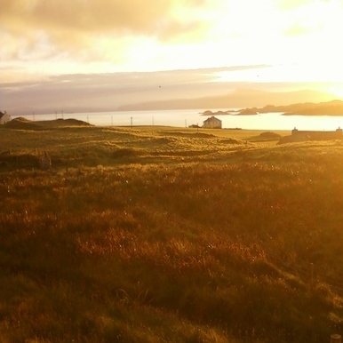 Trustworthy, responsible, caring house sitter, Portland, OR