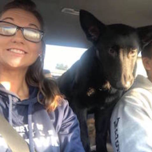 Very dog friendly house sitter and dog sitter.