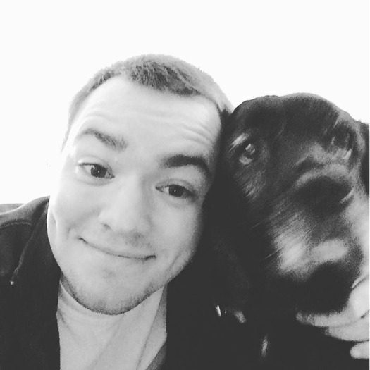 Very available house/pet sitter or walker