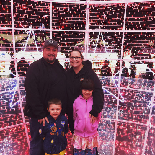 Looking For a House Sitter/ Nanny Job in Goodyear